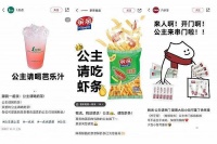 到处都有的“公主请xx”是怎么火起来的？