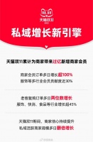 天猫双11私域成商家增长新引擎:商家会员新增过亿,多日会员订单增长