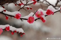双11增长战略拉不动阿里Q2财报前夜的股价?