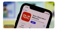 Temu狂飙，海外版拼多多初长成