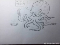 章鱼的智商有多可怕？