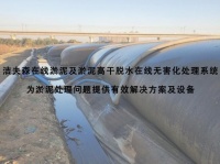 洁夫森JWC-DWS在线清淤及淤泥高干脱水在线无害化处理系统发展