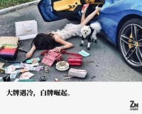 不是品牌买不起，而是白牌平替更有性价比