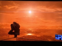 为了在2023年保持情绪稳定，我花了这些钱。