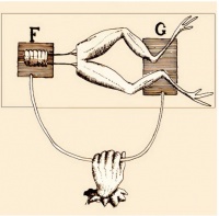 那些挑战Transformer的模型架构都在做些什么？