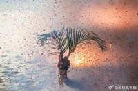 一加 Ace 3配置怎么样，有哪些亮点和不足，用事实说话！