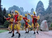 文旅局长卷疯了，真相却很残酷