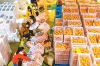 接流量，商机这样变成生意