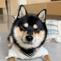 小调查：你的微信里一共有多少个好友？