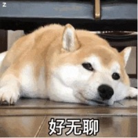 比骁龙8Gen3更猛！刚刚曝光的这新机，把我看傻了