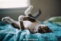 你发朋友圈的频率是什么样的呢？天天记录？还是彻底关闭？