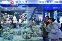 新质生产力·产业新观察丨从跟随到引领！中国企业争锋下一代新型显示技术