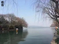 去游戏公司当假白领,工作是哄大佬开心