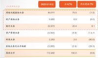 中国平安能否重回增长?