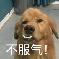 我的天,比亚迪用英伟达智能芯片有什么问题吗?
