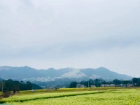 宜春矿企，困在低利润里