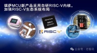 瑞萨电子推出采用自研RISC-V CPU内核的通用32位MCU