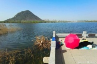 华山湖“湖”拍|享受春天