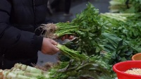 把最好的春天冻起来,来年给它“炸”了?