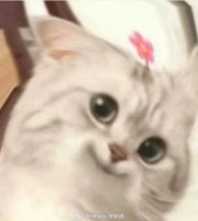 你的App Store崩了吗？