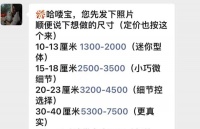 花费上万元,他们这样和爱宠道别