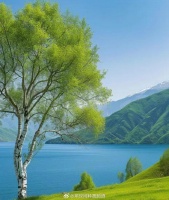 你平时看视频都是在哪个平台？