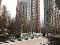 CBD临时工：我从不羡慕白领
