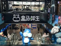 盒马拟重启会员制