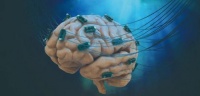 改装人脑，能超越人工智能？