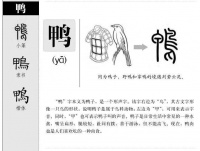 南京滋味养成史