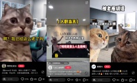 猫meme:古希腊掌管情绪的神