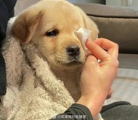 你的微信置顶有哪些？