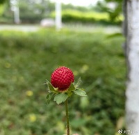 三大退路挤满了人，曾经的打车人，如今的网约魂