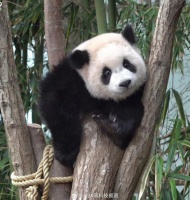 你是打字很快的类型吗？