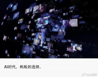 下一个十年，蚂蚁去向何方？