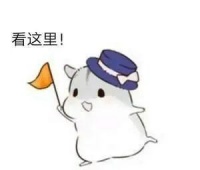 微信最新发布，涉及这些功能