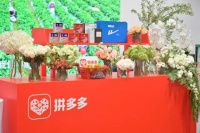 为什么说商家离不开拼多多