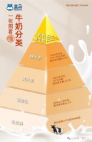 鲜奶价格战再升级，「有机奶自由」不远了