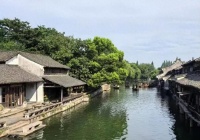 海尔“会呼吸”的洗衣机全球上市：没有发布，只有交互