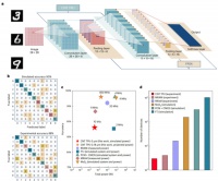 TPU芯片：国内面对AI大模型的另一种解法