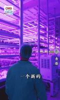 勇立潮头大湾区丨香港为创科青年赋能 集装箱变身智能“农场”