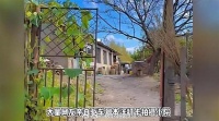 如今,“东北雨姐”的账号已经陷入沉寂,拍摄基地也人去屋空…