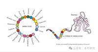 诺贝尔化学奖是AI for Science，物理奖是Science for AI