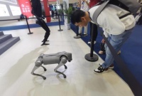 2024中国国际消费电子博览会丨智慧绿色“链”未来