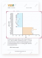 10倍增长，超高复购，玉容初双11迎来大爆发