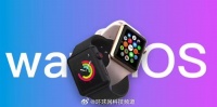 苹果watchOS 11.2 开发者预览版 Beta 3：修复电池健康报告预估不准问题