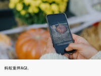 支付宝继续卷AI应用：推出增强版AI视觉搜索“探一下”