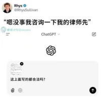 付不起高额律师费的当事人，选择用AI来代替律师