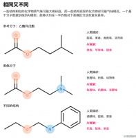 AI能帮忙破解嗅觉密码吗？