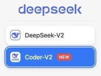 为什么没人说DeepSeek的数学和代码？